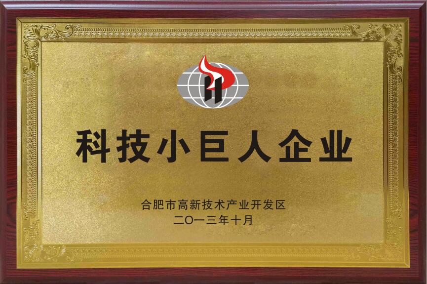 1590715686588907.jpg 科技小巨人.jpg