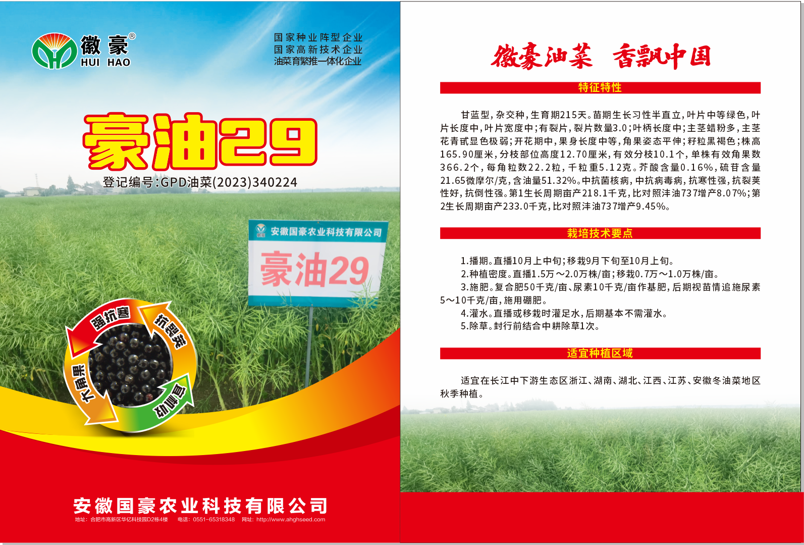 豪油29海報(bào).png