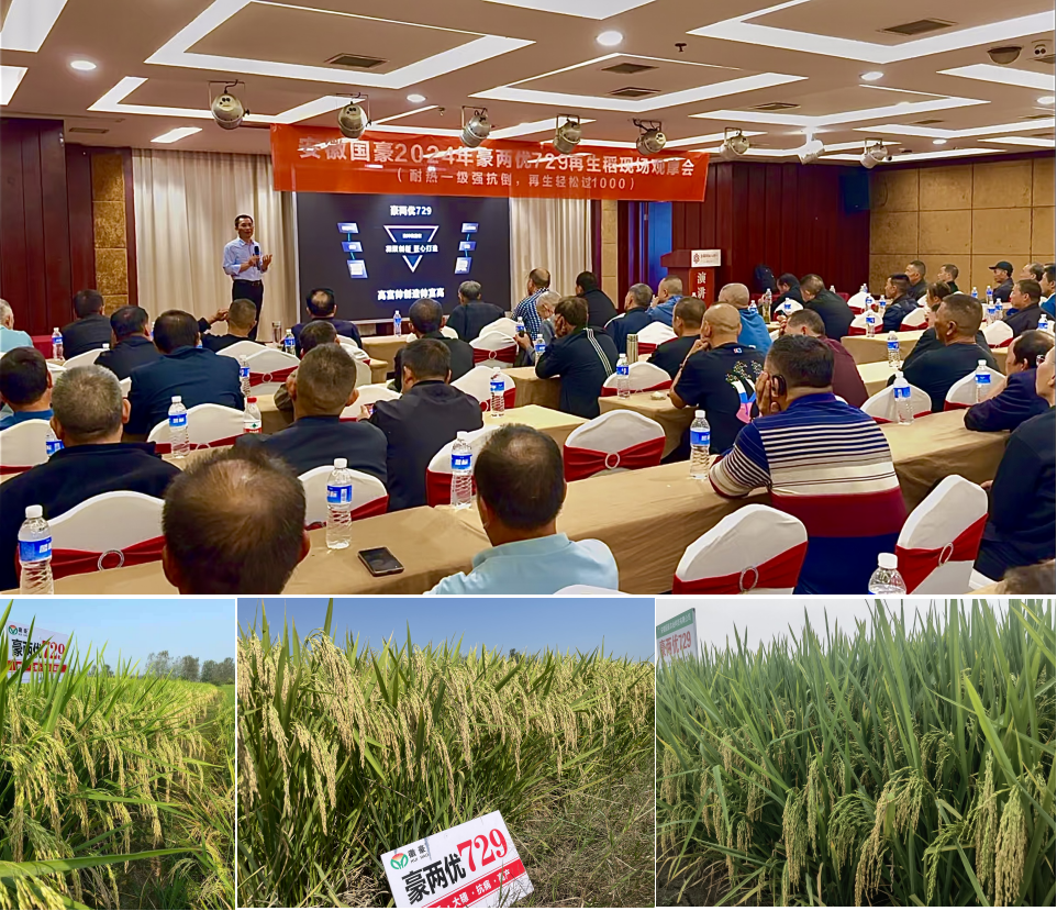 1729231846767726.png 圖片1.png