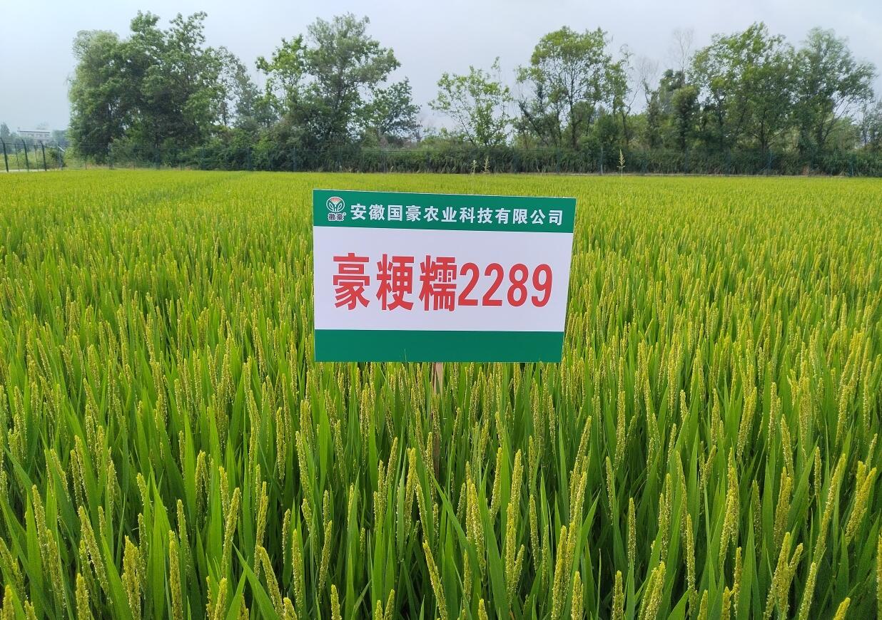QQ截圖20250312144751.jpg