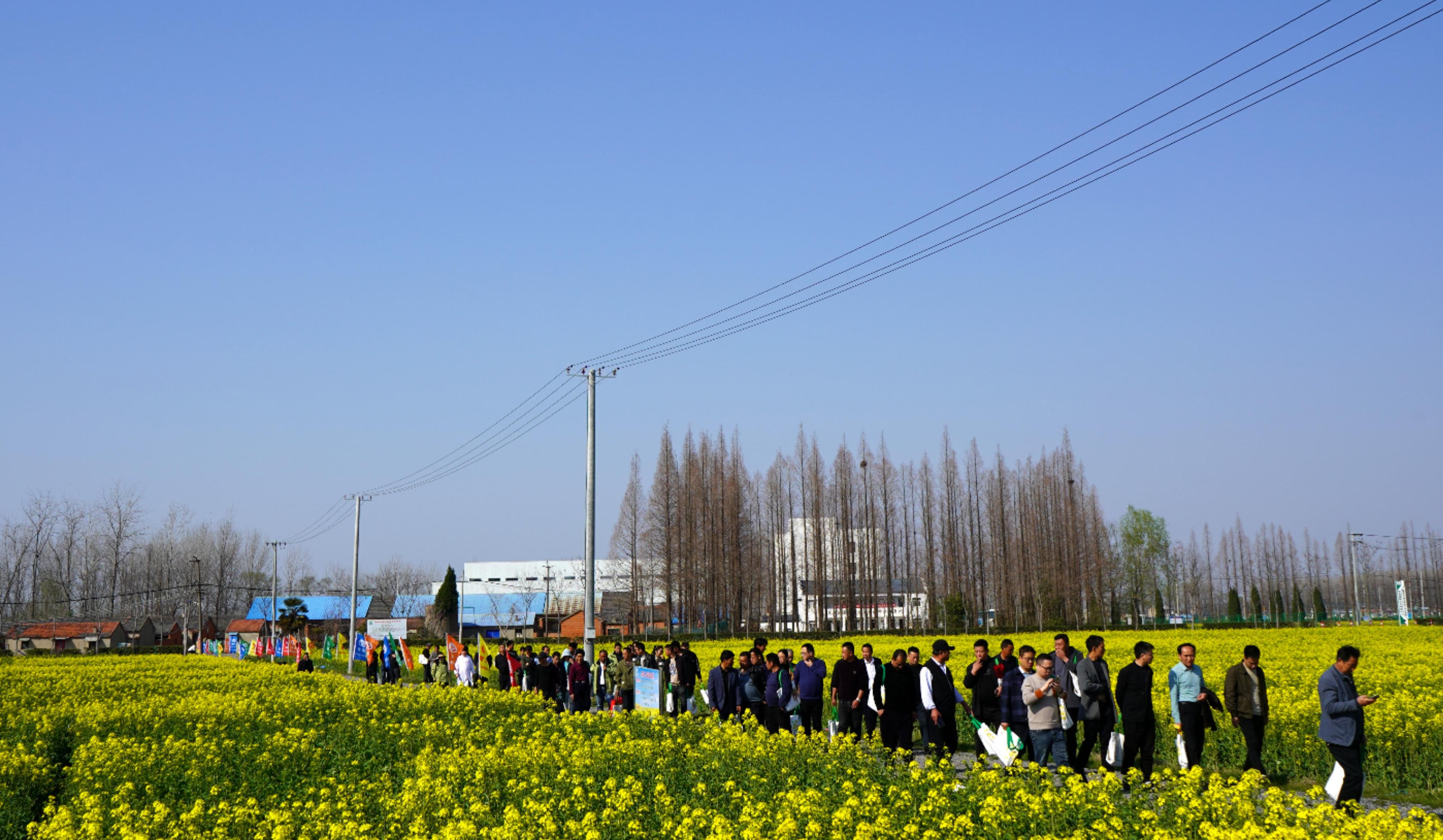 1742440718124306.jpg 1.jpg