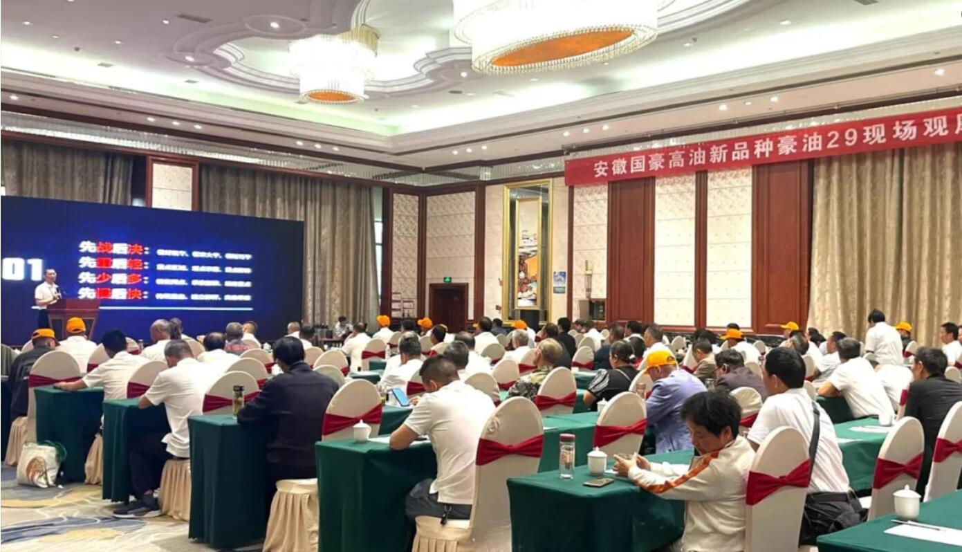 QQ截圖20250512085905.jpg