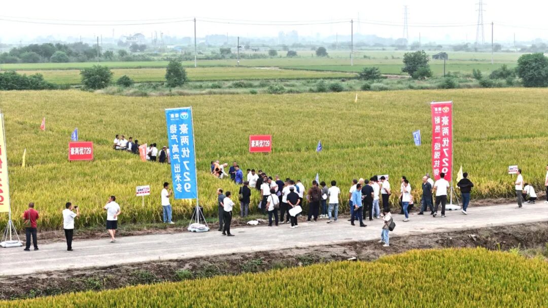 微信圖片_2025-09-29_142243_637.jpg